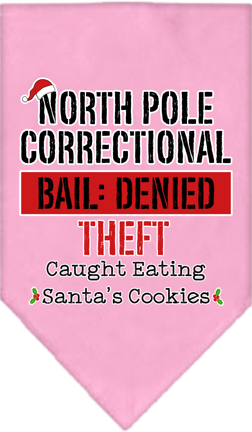 North Pole Correctional Screen Print Bandana Light Pink Size Large